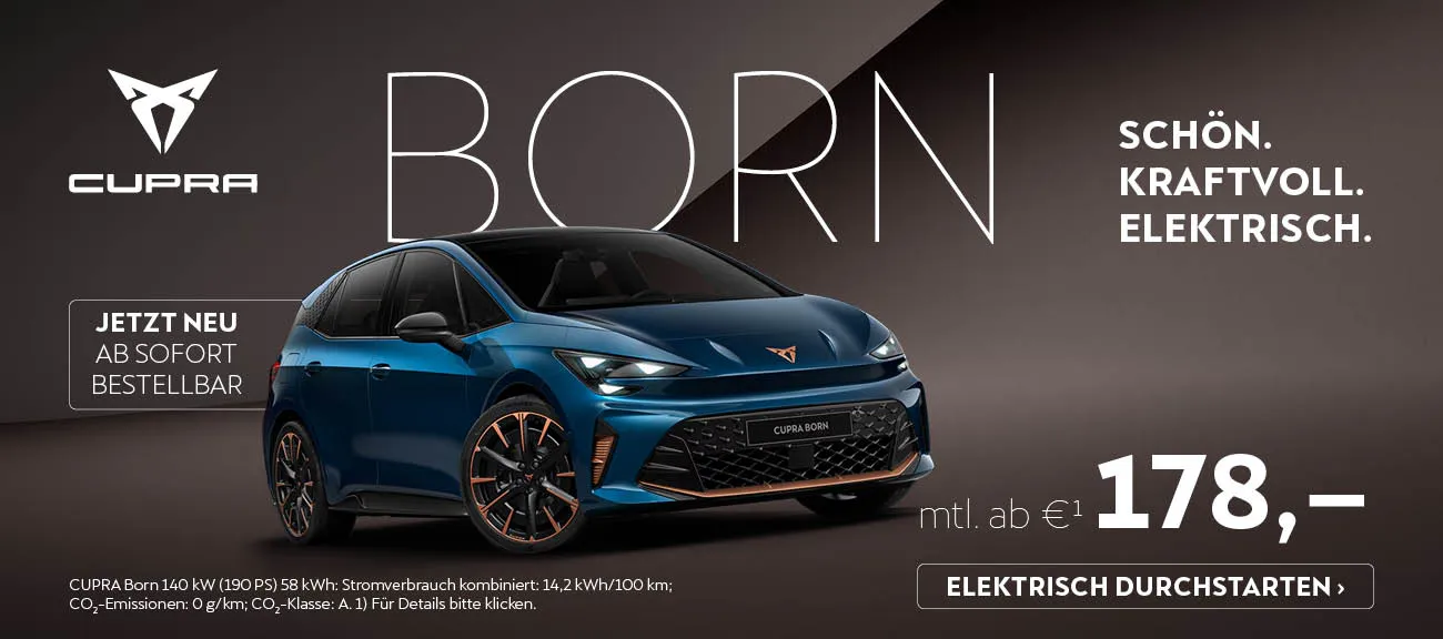 derneue Cupra Born