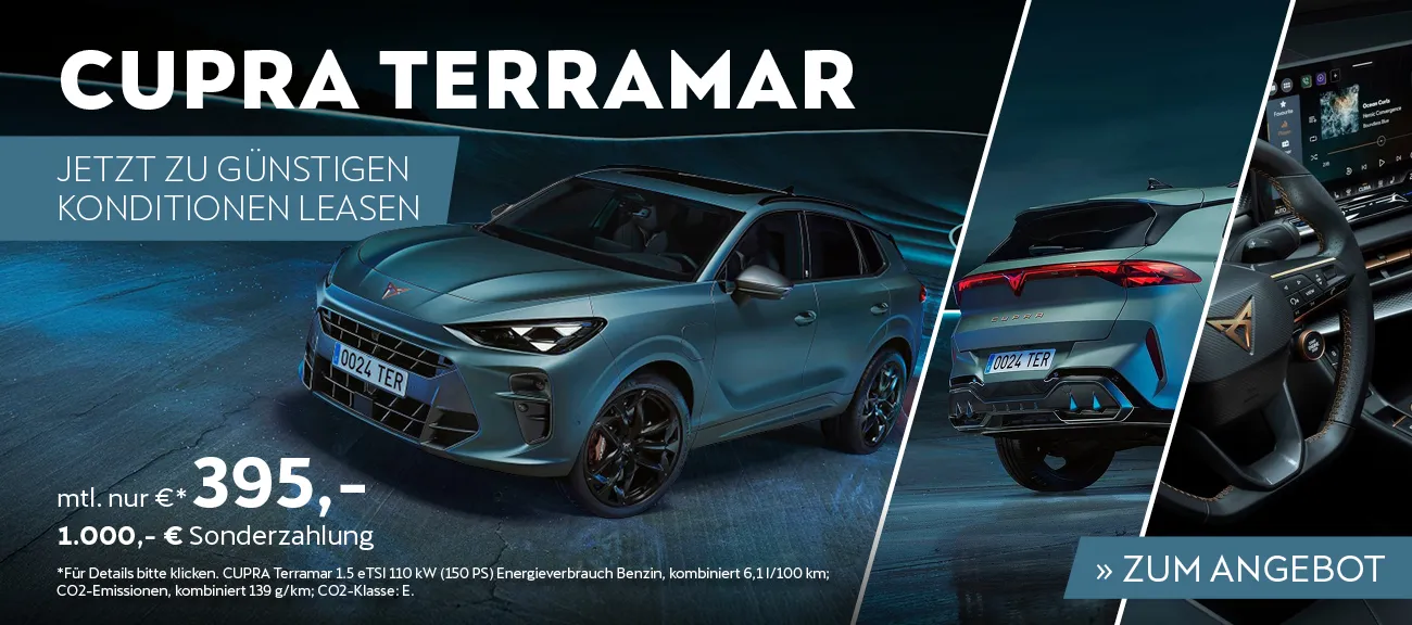neuer Cupra Terramar
