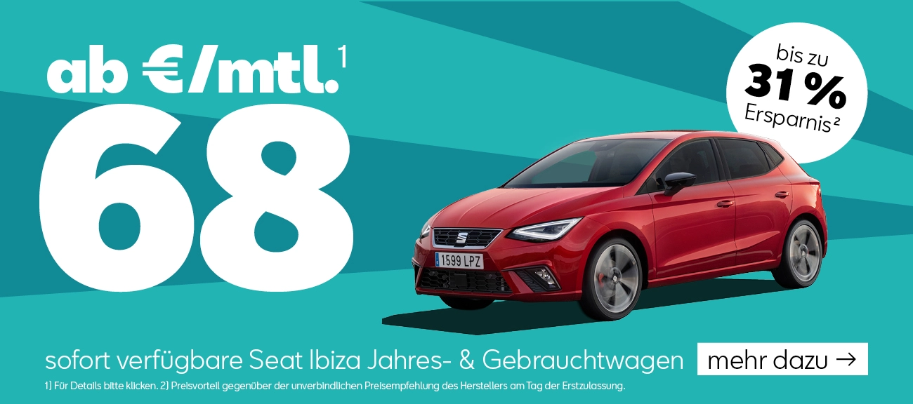 Seat Ibiza Lageraktion