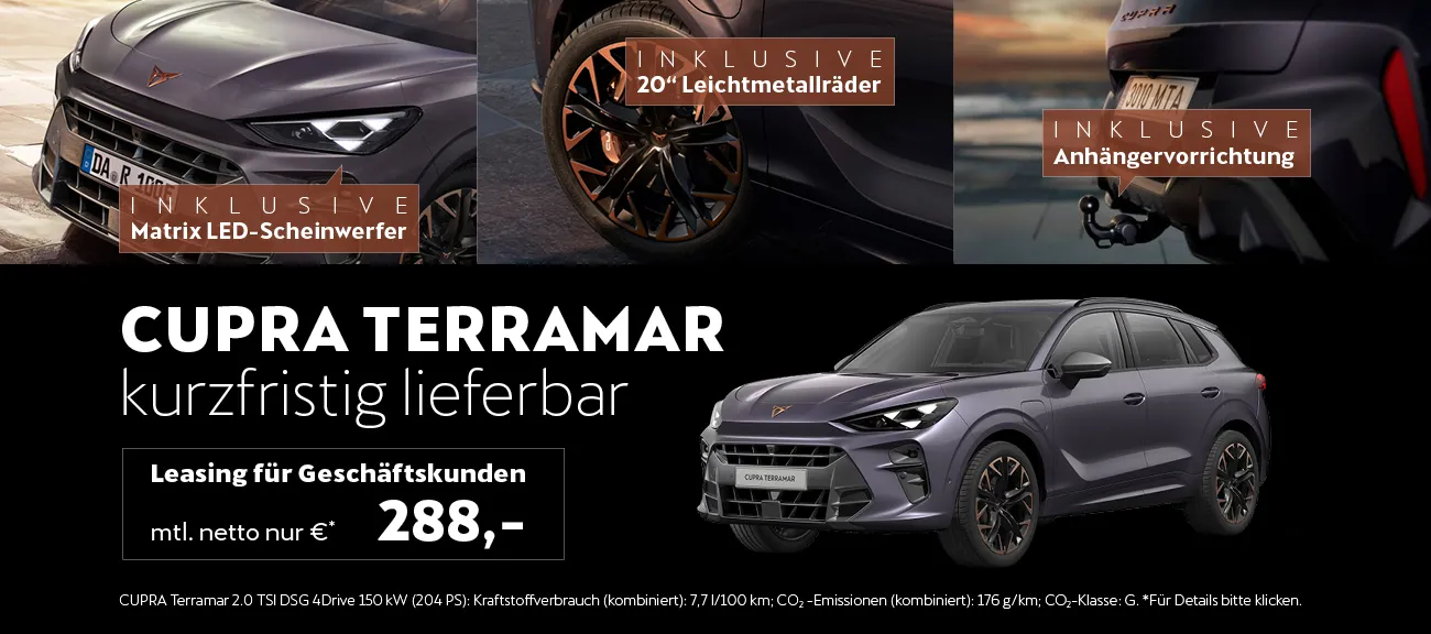 Cupra terramar